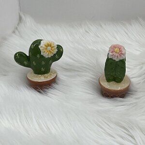 Cactus Cacti Blossom Salt and Pepper Shaker Set Green White Brown